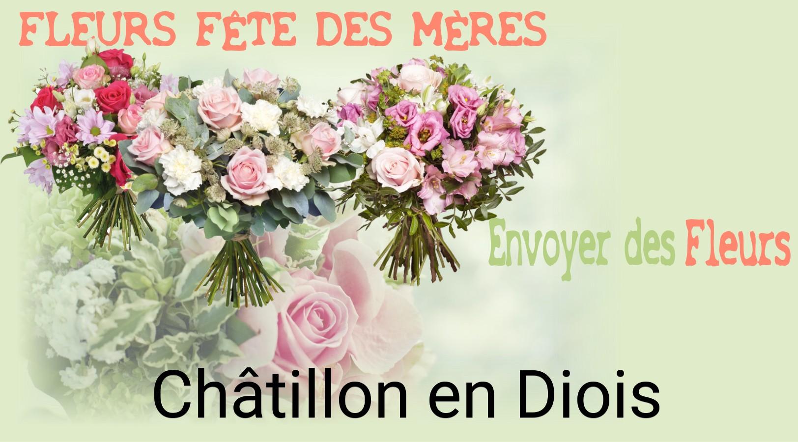 Bouquet de Fête des Mères livré à Châtillon-en-Diois