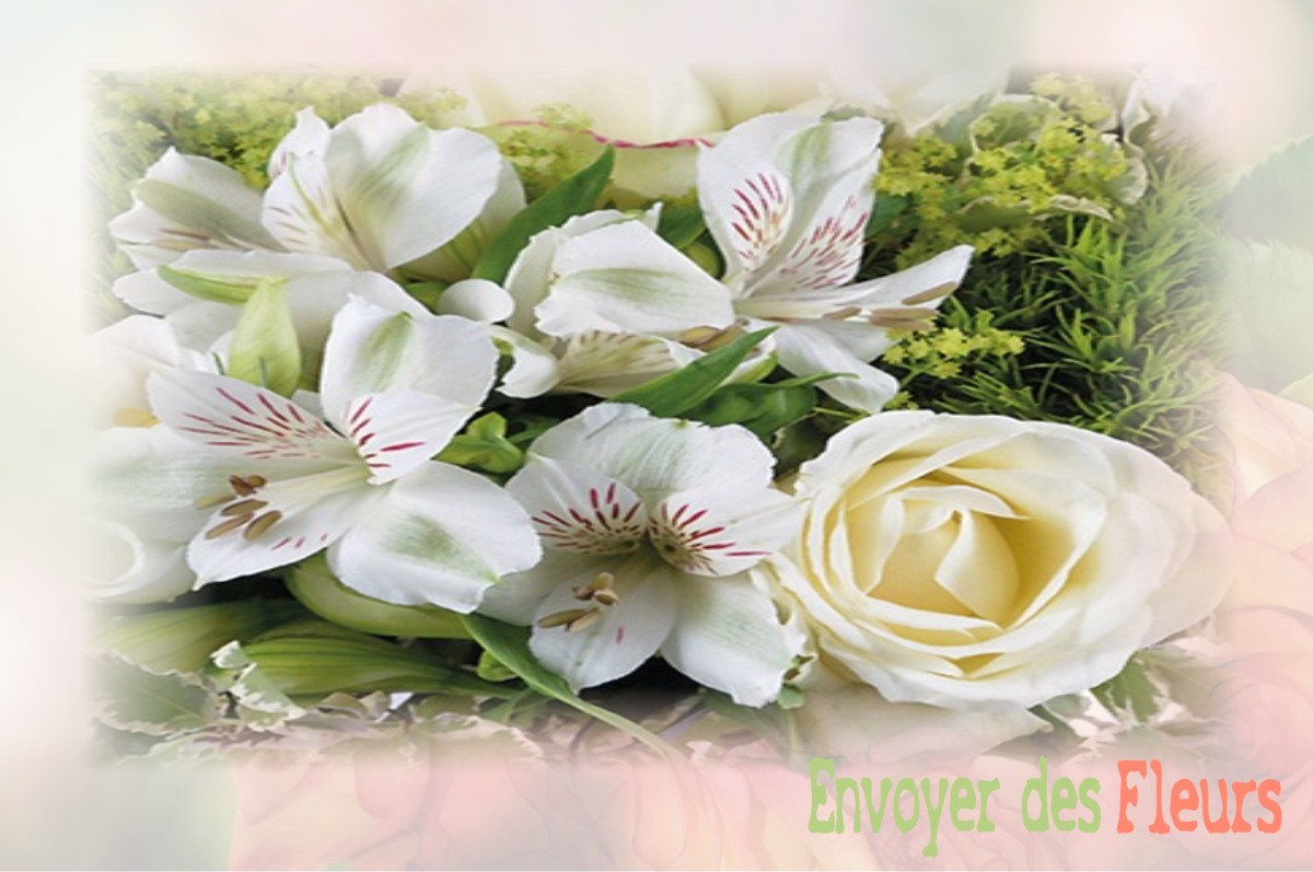 envoyer des fleurs à à CHATILLON-EN-DIOIS